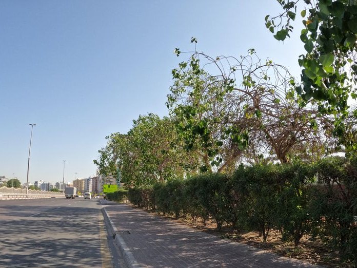 Al Ismaily Cafeteria, Al Raffa