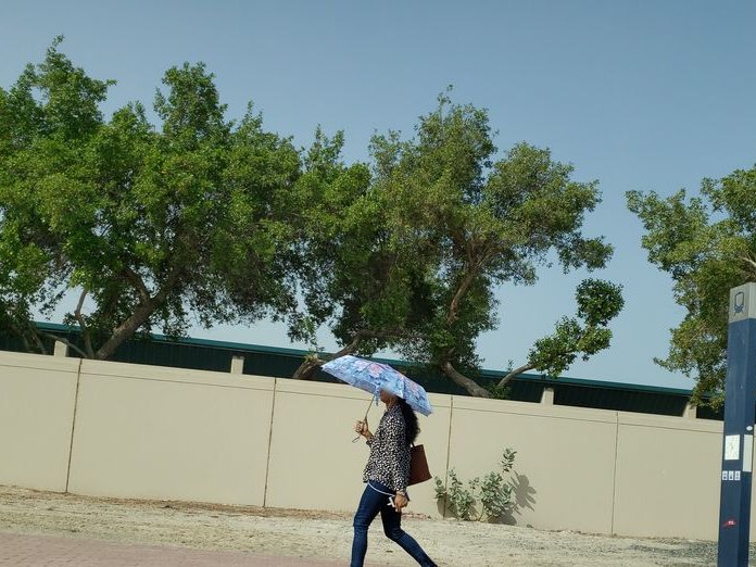 Luxurious-Flowers, Al Wasl