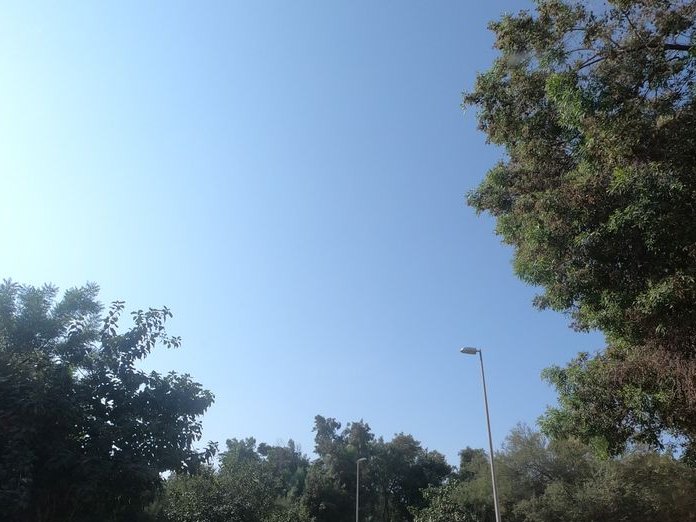 Saylor's, Jabal Ali 1