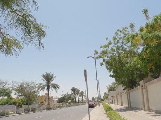 Phantom Cafe The Palm, Al Satwa & Al Wasl