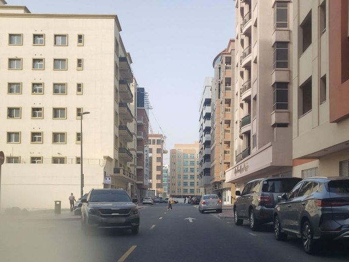 Jasmine Moon Restaurant, Al Barsha 1