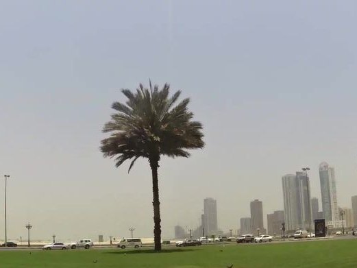 Qasr Um Hassan Restaurant -  مطعم قصر أم حسن, Al Khan