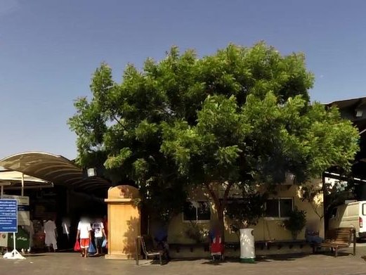 Snakit, Al Dhagaya