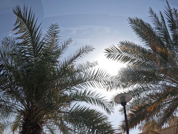 Classybiteuae كلاسي بايت, Al Manara