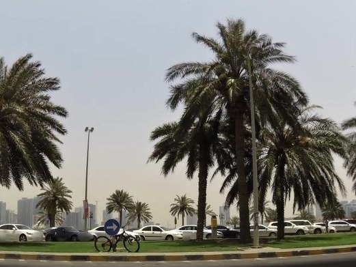 Shajrat Al Samar, Al Khalidiyah
