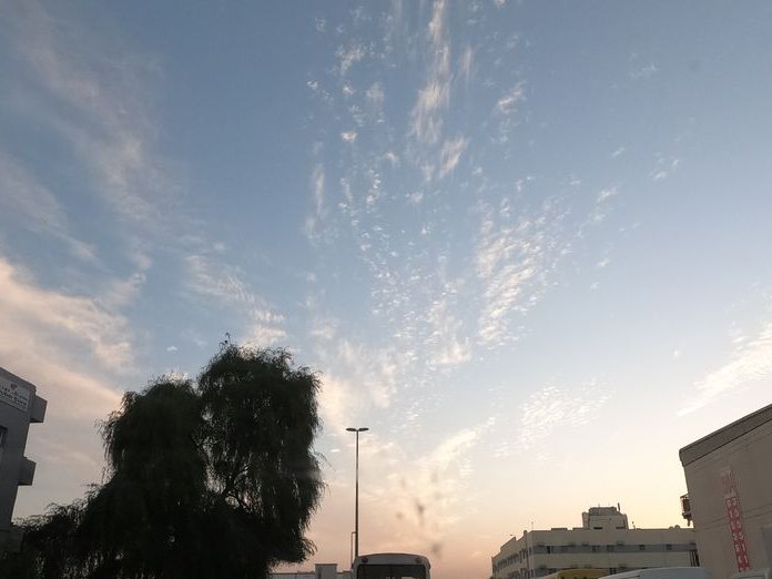Talal caffee, Muhaisnah 2