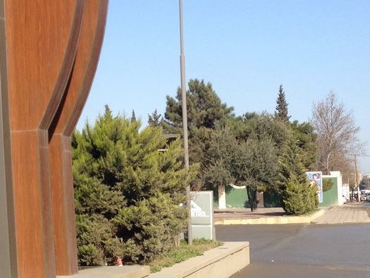 Kişmiş Kafe, Дарнагюль