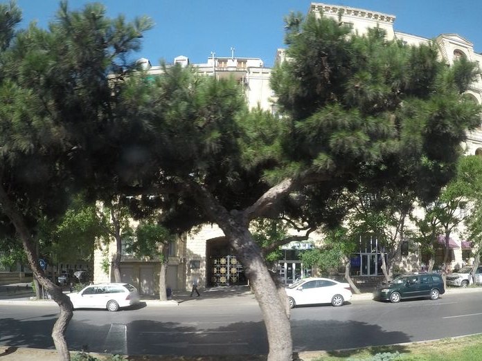 Caffe Affar, Nizami & Torgovaya