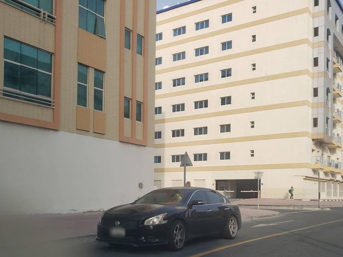 Carribou, Al Barsha 1