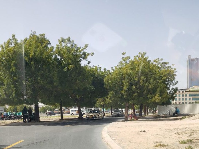 Mis Amigos Dubai | Dubai, Al Hebiah 1