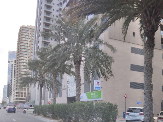 BROZ and FAMILY, Jumeirah Village Circle
