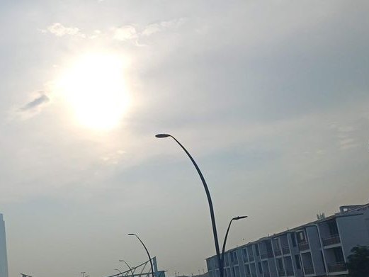 Zurna, Al Safa 1