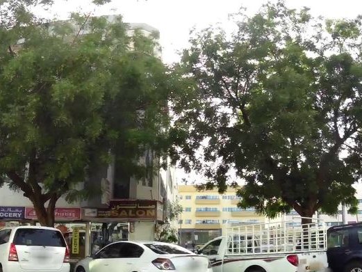Dragon House, Karama