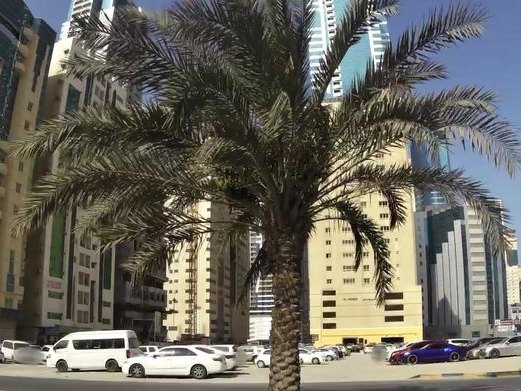 Abu Waheed Darwisheh Rest., Al Taawun