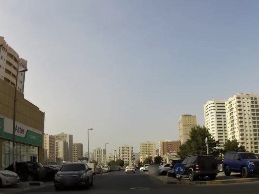 Al Thaam Al Raiee, Al Qasimia