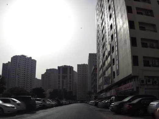 Alam Al Shay, Al Qasimia
