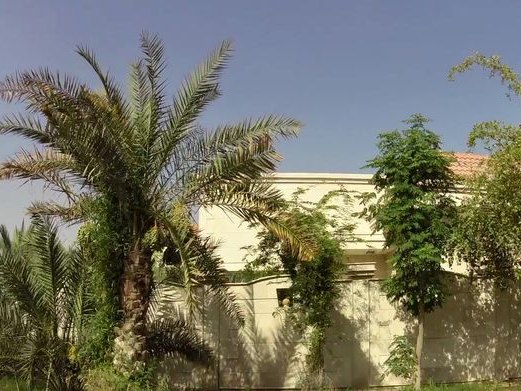 New Look One, Al Warqa 2