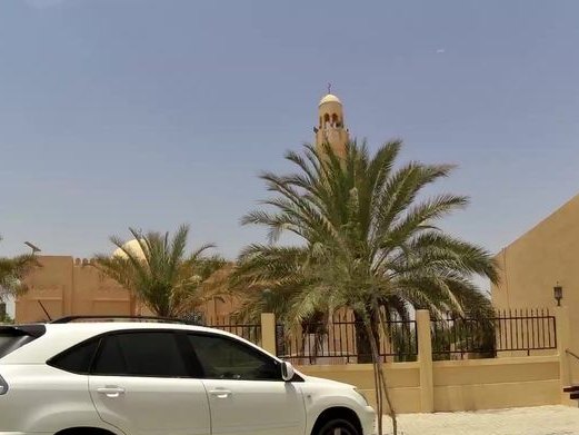 Salloon Al Mutamayezon for Men, Al Mizhar 2