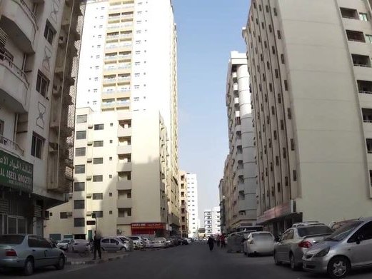 Al Tasafuh, Al Qasimia