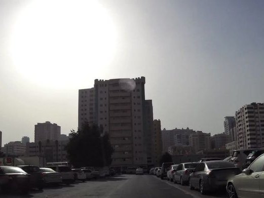 Beauty Dream, Al Qasimia