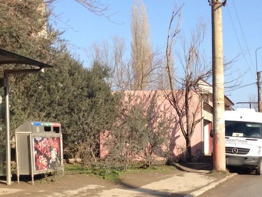 Ledi salonu, Darnagul