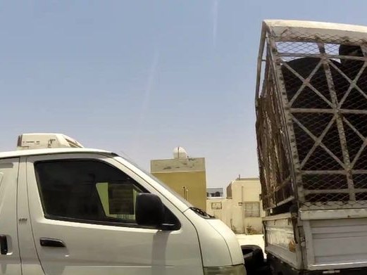 Najmat Al Warqa Bakery, Abu Hail