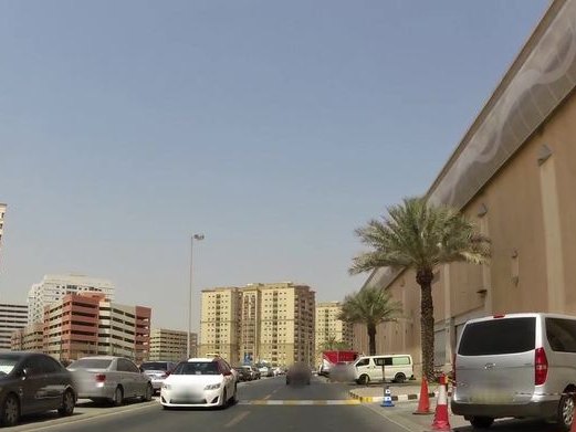 FYS Flowers, Al Nahda