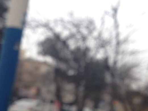Buta gül salonu, Ясамальский район