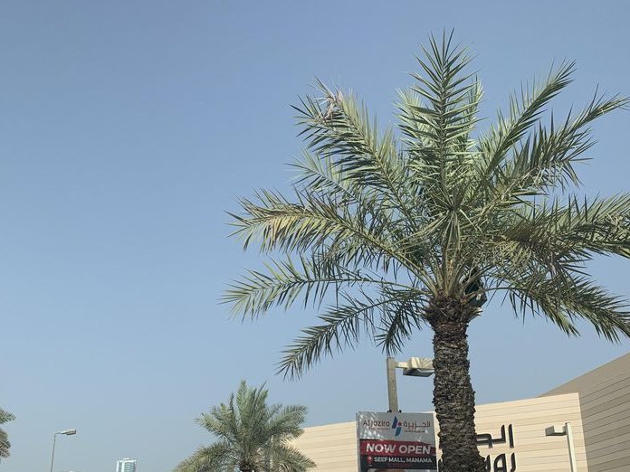 Kadoura, Seef