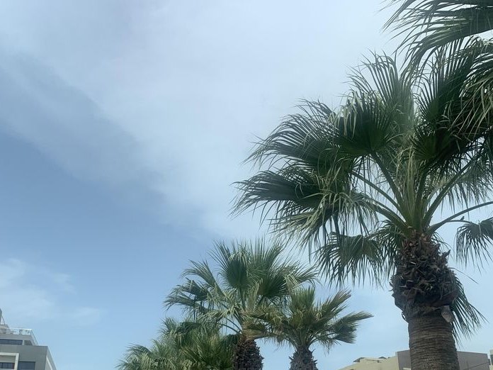 Marina Cafe, Amwaj Islands