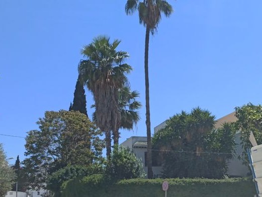 Wel El Haj, Les Jardins